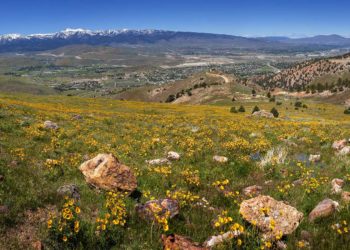 South Washoe Dems