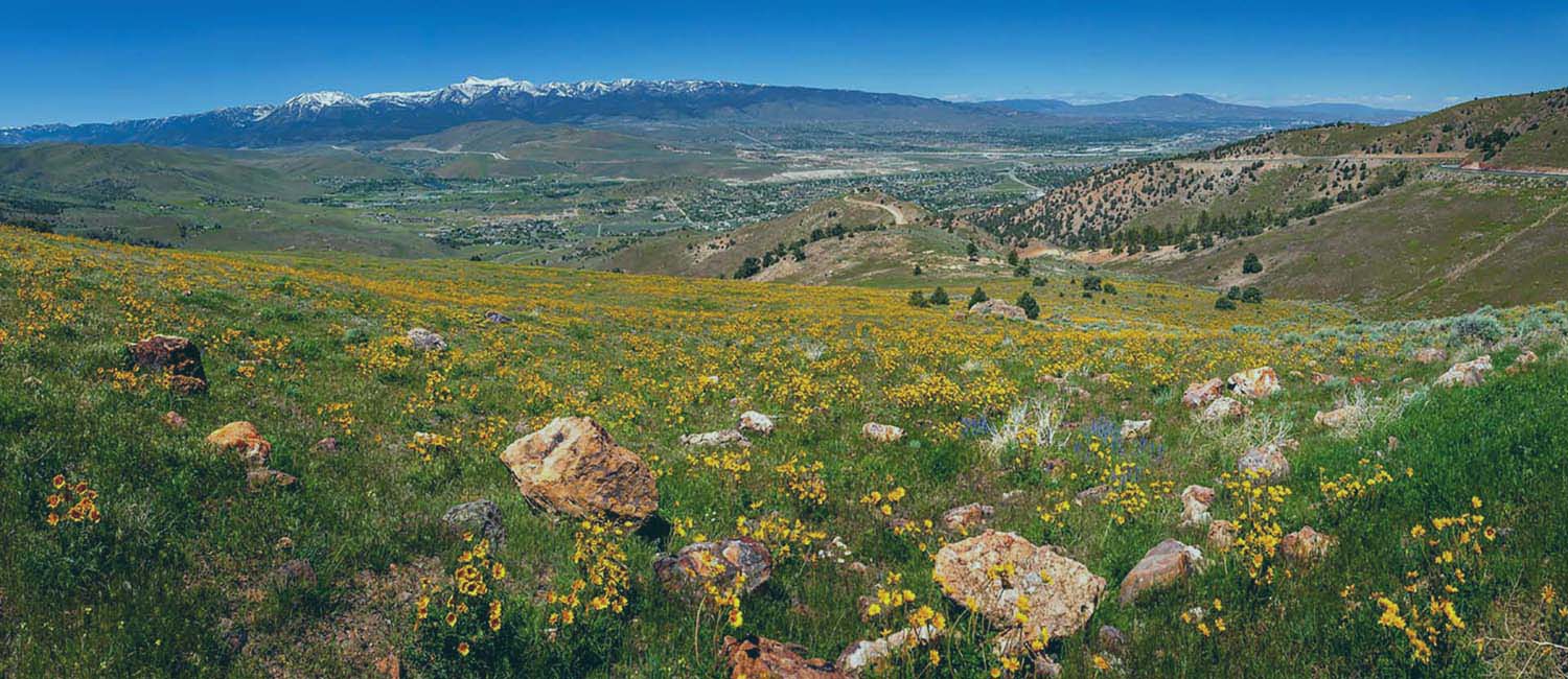 March 2024: Reno City Council Candidates